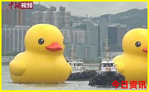 夏天去哪个城市好玩